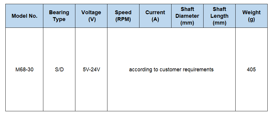 customized brushless dc motor