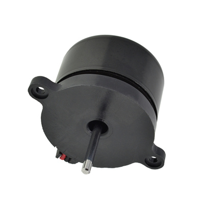 high torque electric BLDC motor