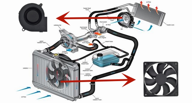 automotive cooling fans